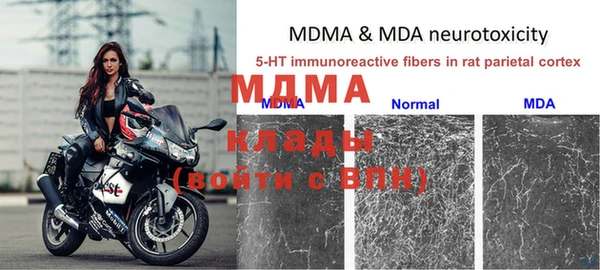 мяу мяу мука Алзамай