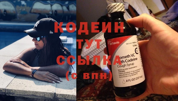 мяу мяу мука Алзамай